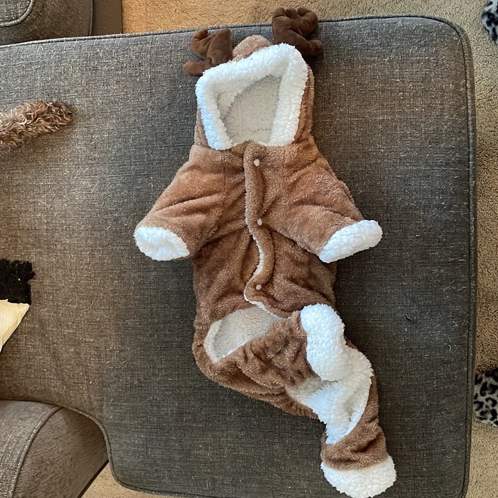 Small dog reindeer outfit.
